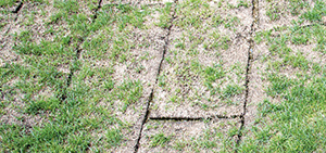 Watering newly laid turf