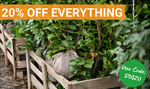 Don&rsquo;t wait until spring to get into your garden, now is the perfect time to get digging!
