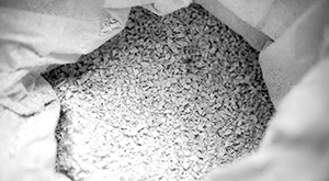 Embracing Sustainability