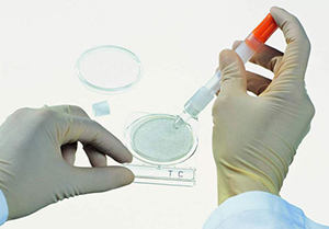 LABTEK Services: Meeting your requirements for high quality Laboratory Supplies and Products