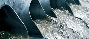 Wimes Compliance &minus; 3.02 2019 6.4.3.2 (D)