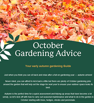 October Gardening Jobs