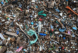 Food Waste is a SERIOUS problem. Here are some easy things you can do to help