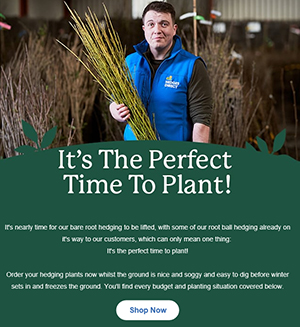 Bare Root hedging plants are available to pre-order for November delivery!