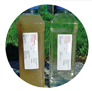 Proven track record with biological treatment of winery waste