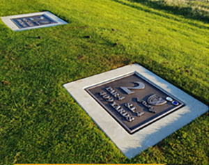 Tee Box Marvels: Discover Our Marvellous Mow Overs