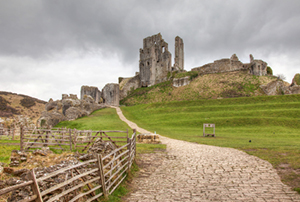 Asbestos Removal/Management