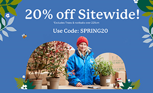 Hedging and Plants from Hedges Direct