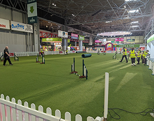 Artificial Lawn Company back at Cruft&rsquo;s for 2024!