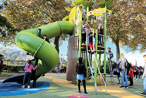 Revealing the Essence of Play Value