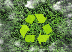 IEMA and CWP Launch New Digital Series &lsquo;Transforming the World to Sustainability&rsquo;