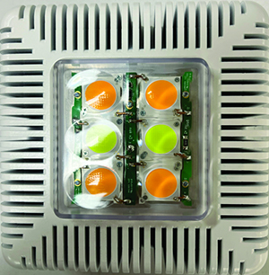 Flash Fog Bandit introduced to the UK