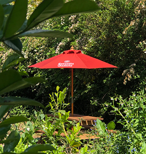 Transform Your Outdoor Space with Printed Parasols