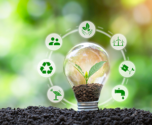 Megatrends and Sustainable Development