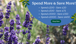 Hedging and Plants from Hedges Direct