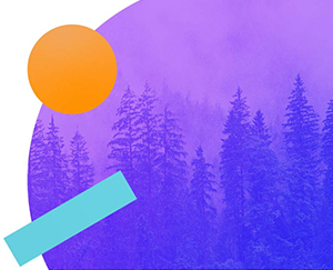 Astutis Launches Sustainability Feature to Turn Customer Feedback into Forests