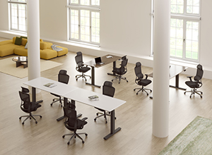 Introducing the FlexiSpot Height Adjustable Desk: