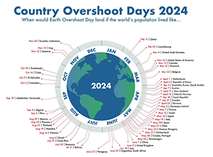 Reducing Our Footprint: The Hidden Environmental Benefits of DMS