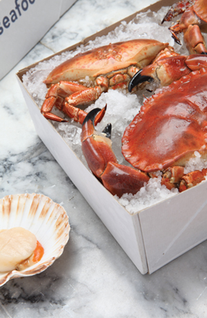 Sustainable Solid Board Packaging