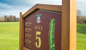 🏌🏽 Top Tips for Tees!