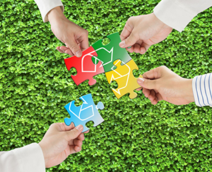 Sustainability and HR: Creating a Green Workforce