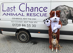 Walkies Talkies to the Rescue for &lsquo;Last Chance&rsquo; Charity