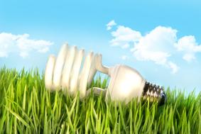 Energy Efficient Light Bulb