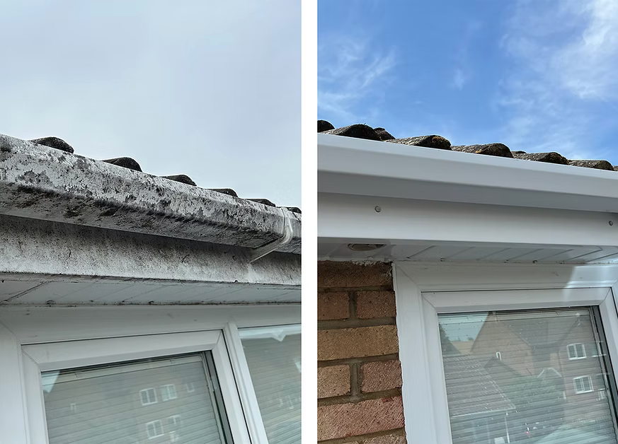 Affordable Residential Exterior Cleaning Services Near Me