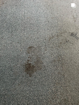 Carpet Cleaning Services