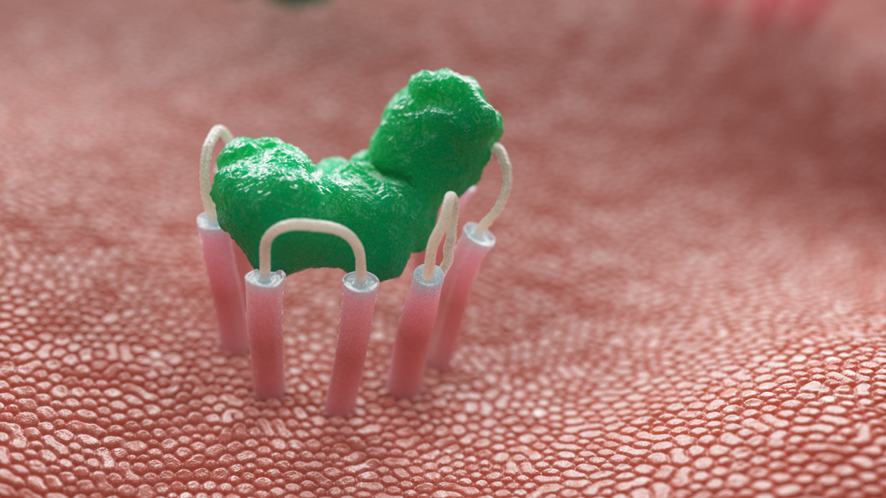 3D medical animation showing a biological receptor binding to molecules on the surface of a cell.