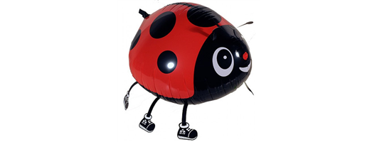 Ladybird