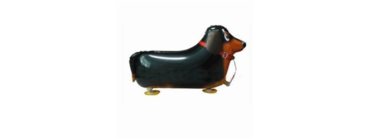Sausage Dog