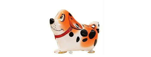 Orange Spotted Dog