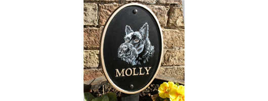 Pet Portraits & Memorial Plaques