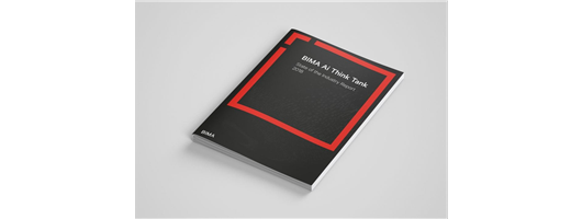 Brochure Design for Bima