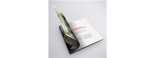 Nuts about Brochure Design