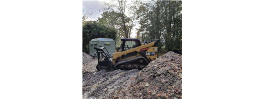 Professional Tree Care Services