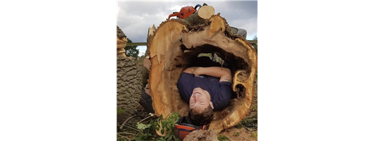 Courteous Tree Care Team