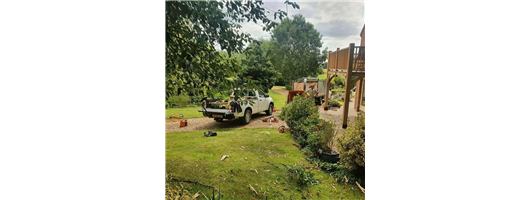 Qualified Tree Surgeons