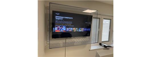 Wall Mounted TV Cover