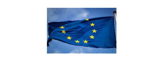 Understanding EU Regulatory Affairs