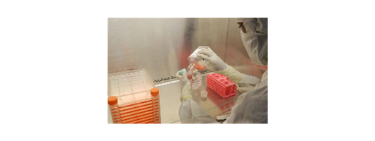 Bioanalysis and immunogenicity testing for biopharmaceutical development