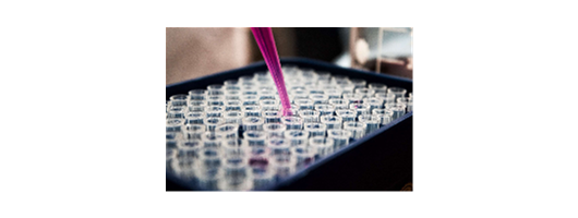 An Introduction to Biopharmaceuticals: A Beginner’s Guide