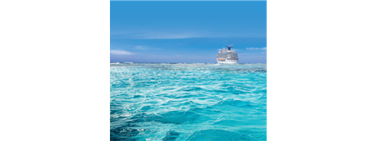 OMD-2008 Series Bilge Alarm Units