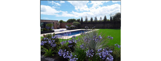 XL Trainer - Nova Blue