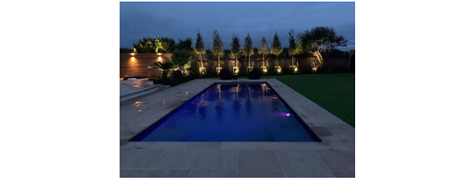 XL Trainer - Nova Blue