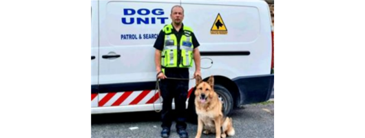 Static Security Dogs 