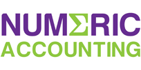 Numeric Accounting Logo