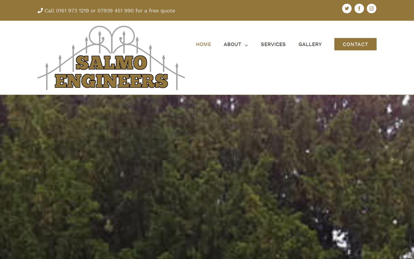 Salmo Engineers Website