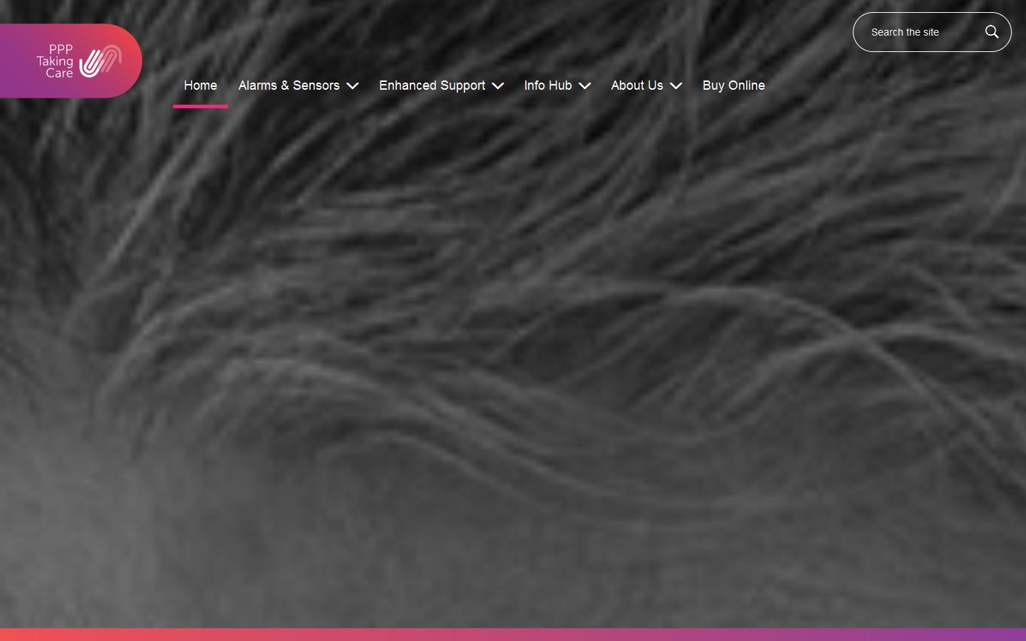 PPP Taking Care Website